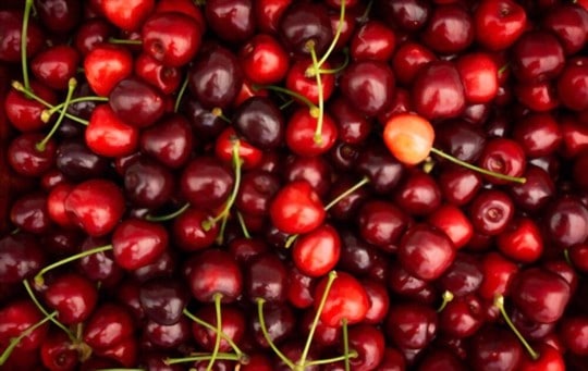 how to store cherries