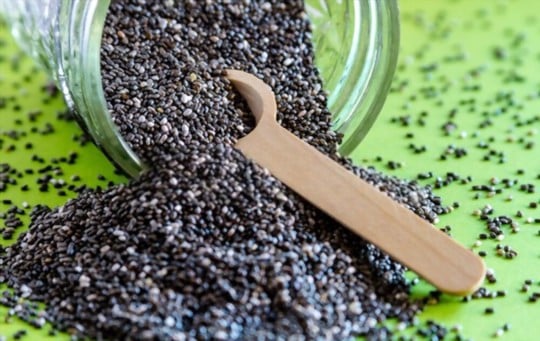 how to store chia seeds