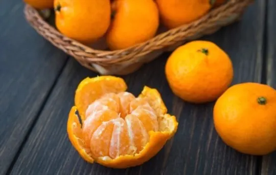 how to store clementines
