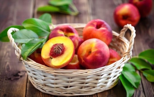 how to store nectarines the right way