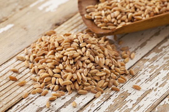 how to store wheat berries