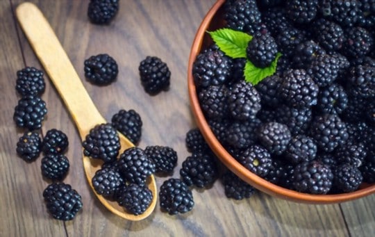 how to tell if blackberries are bad