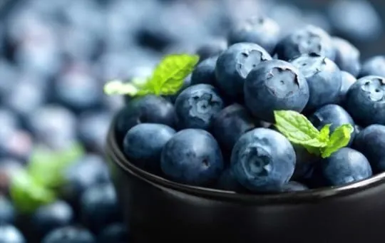 how to tell if blueberries are bad