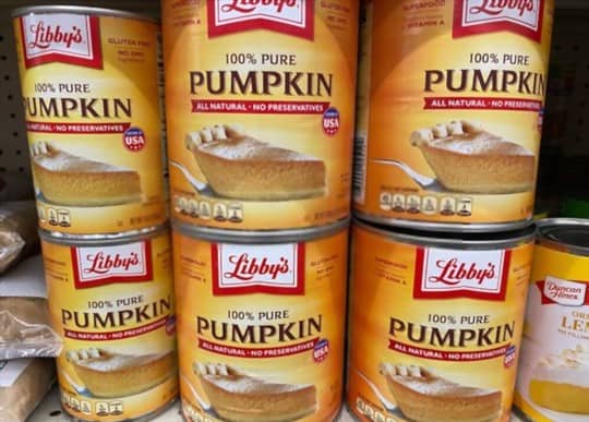 how to tell if canned pumpkin is spoiled