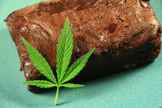 how to tell if weed brownies are bad