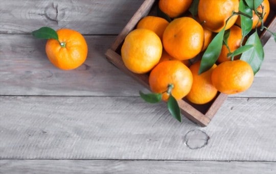 how to use clementines in recipes