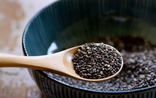 nutritional benefits of chia seeds