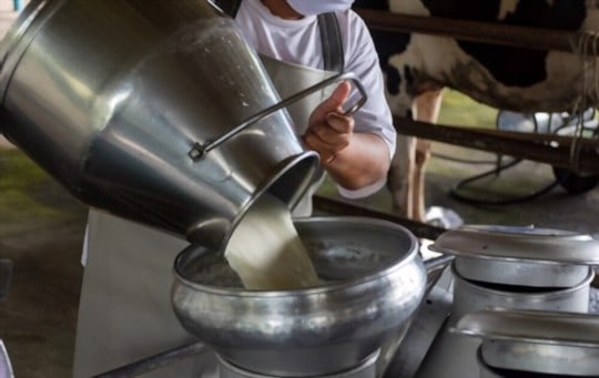 raw milk vs pasteurized milk