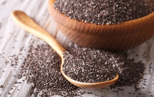 what are chia seeds