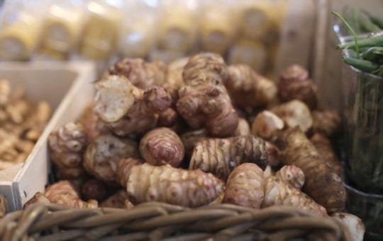 what are sunchokes