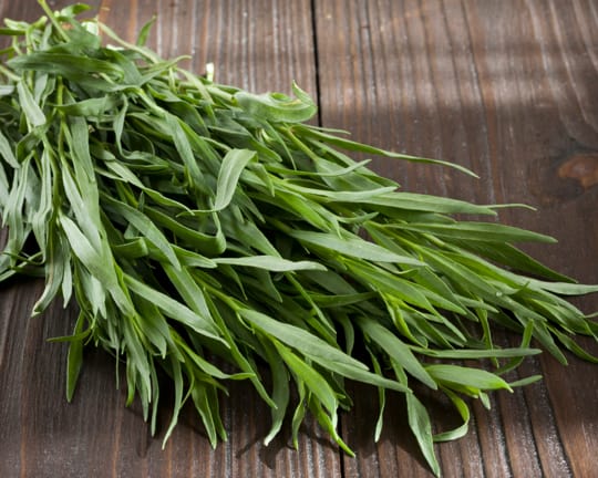 what does mexican tarragon taste like