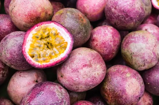 what does passion fruit taste like