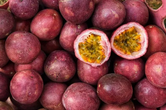 What Does Passion Fruit Taste Like? Does Passion Fruit Taste Good?