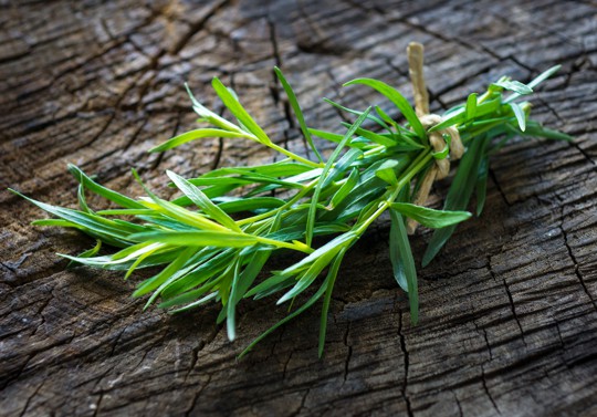 what does tarragon taste like