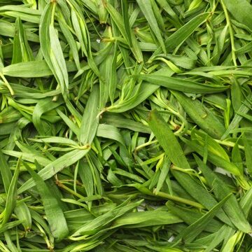 what does tarragon taste like