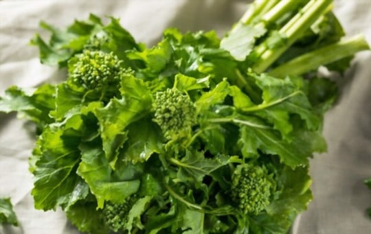 what is broccoli rabe