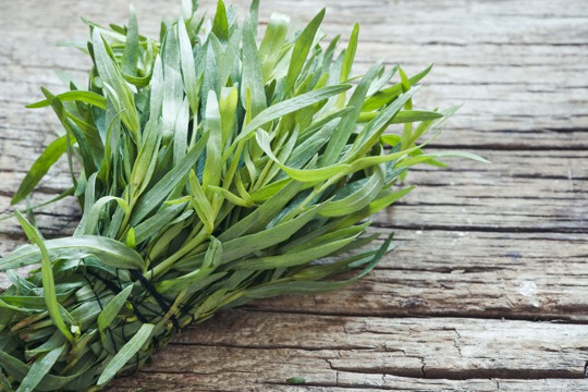 what is tarragon