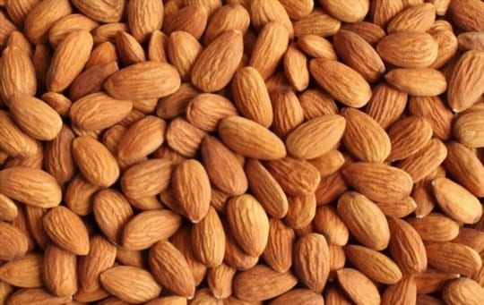 Can You Freeze Almonds? Easy Guide to Freeze Almonds
