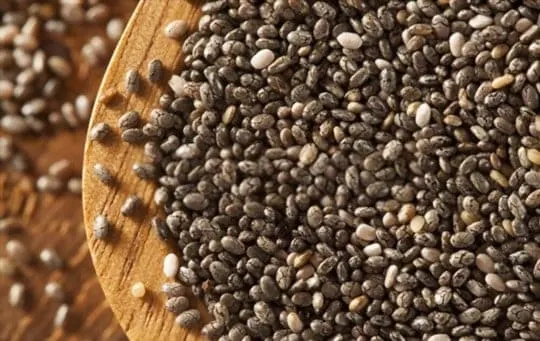 Can You Freeze Chia Seeds? The Complete Guide