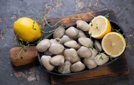 Can You Freeze Clams? Easy Guide to Freeze Clams