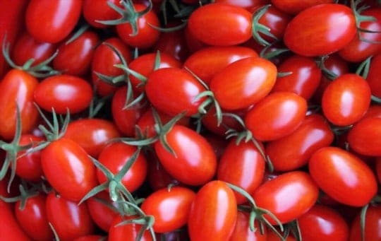 Can You Freeze Grape Tomatoes? The Complete Guide