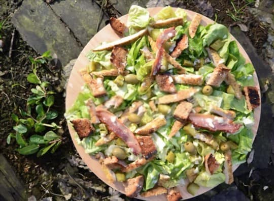 cesar salad or garden salad