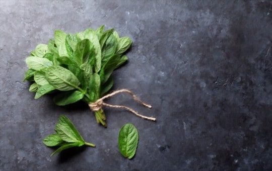 does freezing affect mint and mint leaves