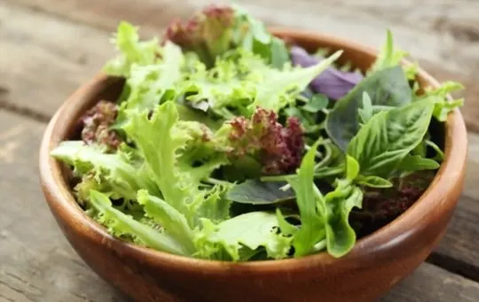 green salad