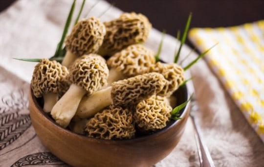 how to freeze morel mushrooms