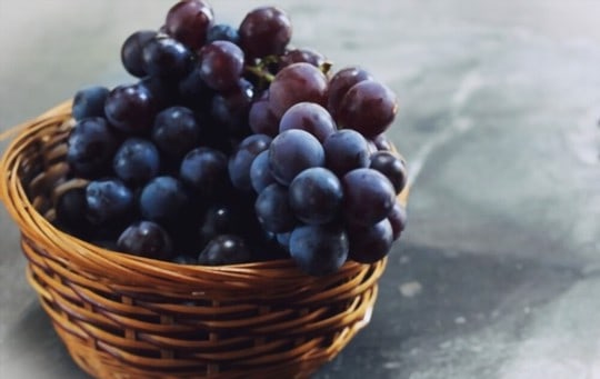 how to tell if concord grapes are bad