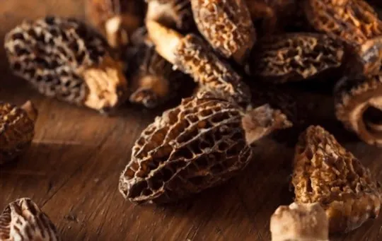 how to tell if morel mushrooms are bad