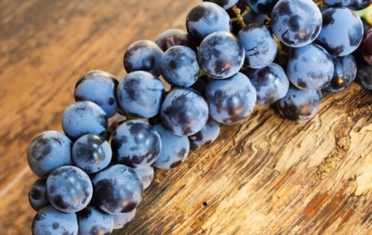 how to use thawed concord grapes