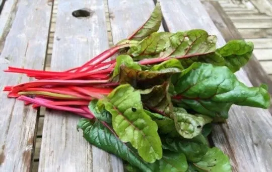 The 5 Best Substitutes for Swiss Chard
