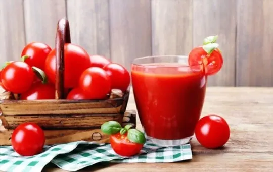 best substitutes for tomato juice