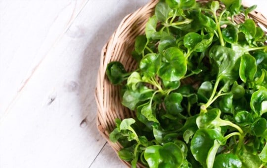best substitutes for watercress