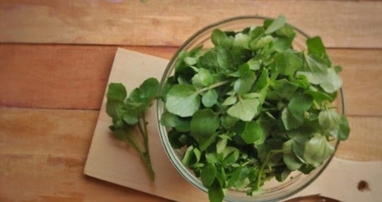 The 5 Best Substitutes for Watercress