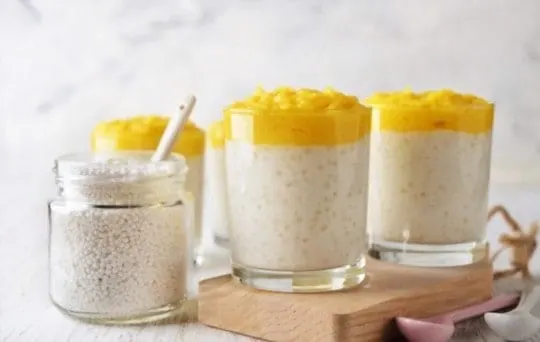 Can You Freeze Tapioca Pudding? A Complete Guide