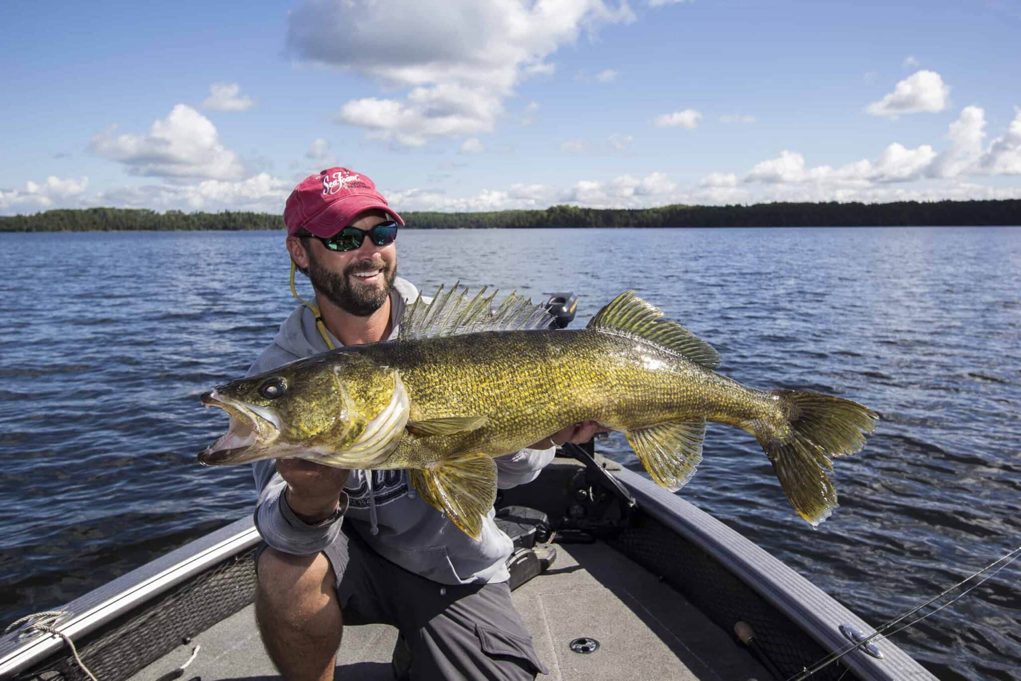 What Does Walleye Taste Like? Does Walleye Taste Good? EatDelights