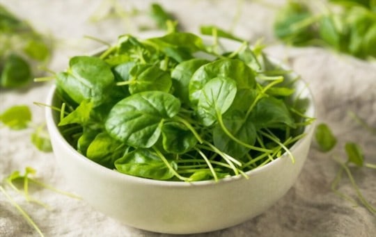what is watercress