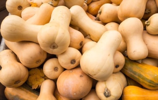 best substitutes for butternut squash