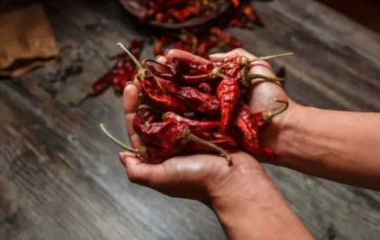 The 5 Best Substitutes for Chipotle Peppers