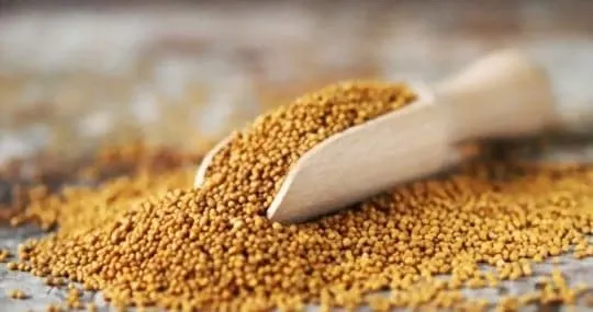 The 5 Best Substitutes for Mustard Seeds