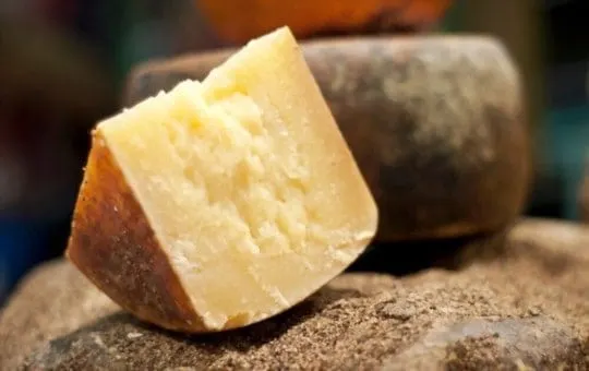 The 5 Best Substitutes for Pecorino Cheese