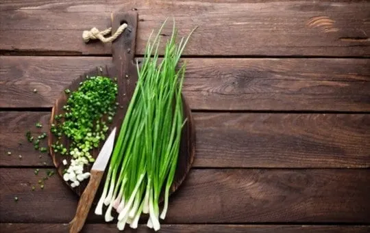 The 5 Best Substitutes for Scallions
