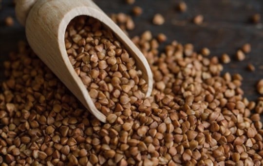 buckwheat
