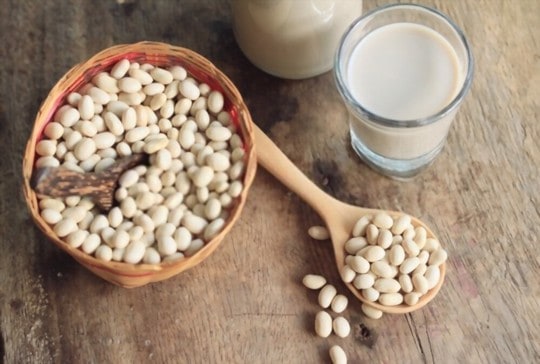 great northern beans