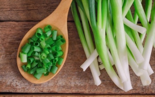 what are scallions