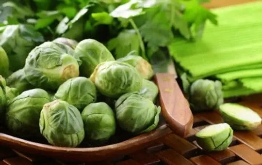 What to Serve with Brussel Sprouts? 8 BEST Side Dishes