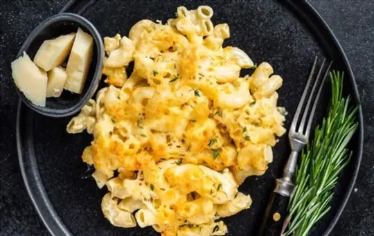 creamy macaroni and cheese