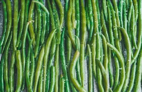 griddled asparagus spears
